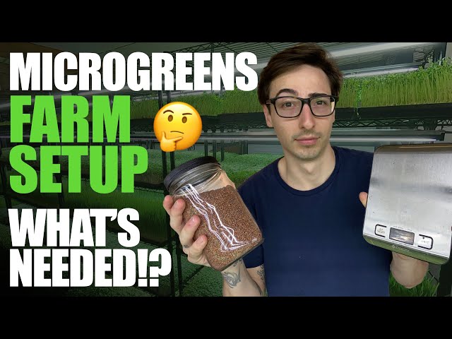 Microgreens Farm Setup: What's Needed?!