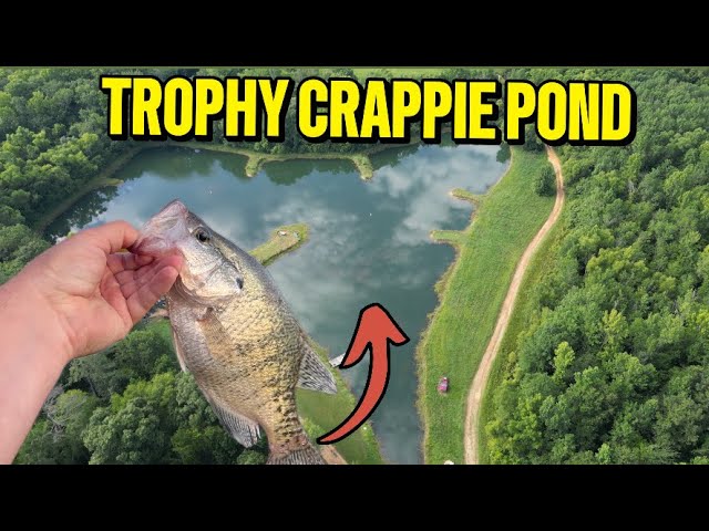 Creating A Trophy Crappie Fishing Pond