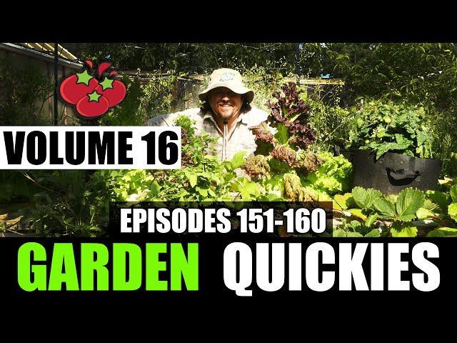 Garden Quickies Volume 16 - Episodes 151 to 160