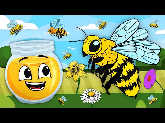 The Honey Bee Song | KLT