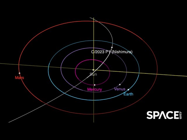 See Comet Nishimura's path around the sun in the orbit animation