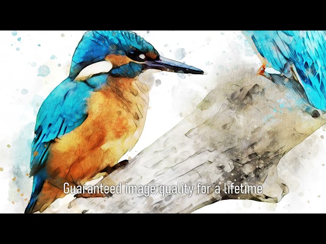 Premium Handmade Art Print "Two Common Kingfishers in Watercolors" by Dreamframer Art