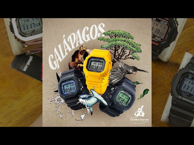 GW-B5600CD "Galapagos Square" G-Shock In-Depth Review