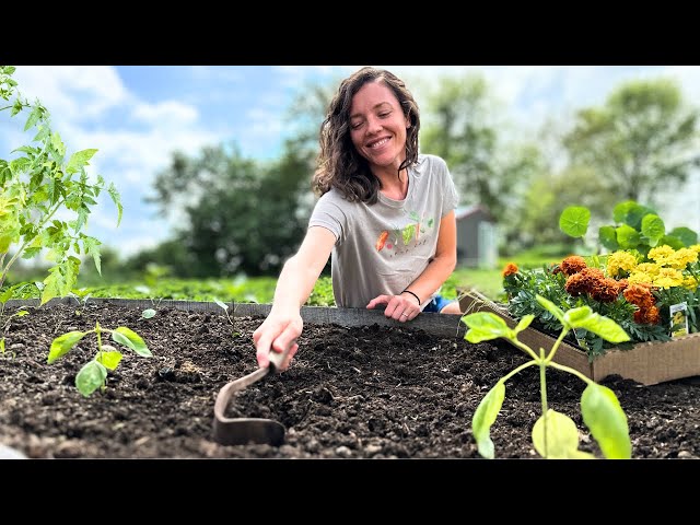 Planting a YEAR’S WORTH OF FOOD for a Family of 6 (part1)