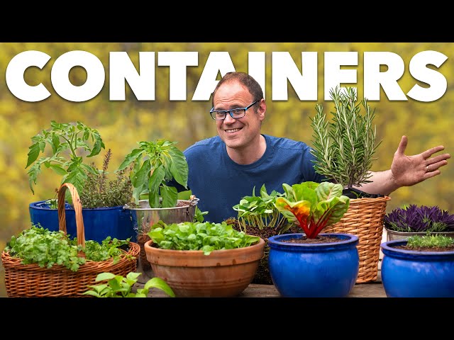 *How To Start Create a Container Garden: The Complete Guide*