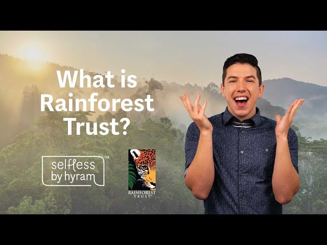What is Rainforest Trust?