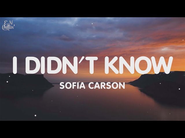 Sofia Carson - I Didn't Know (Lyrics) (From Purple Hearts)