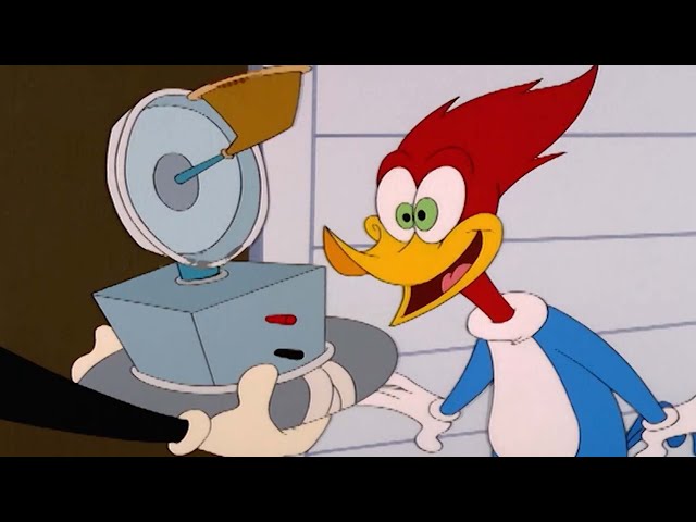 Woody gets a fun new toy | Woody Woodpecker