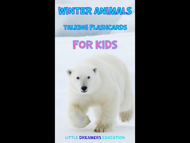 Winter Animals | Talking Flashcards For Kids
