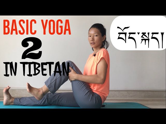 Basic yoga lesson 2 སློབ་ཁྲིད་གཉིས་པ mobility asana part 2