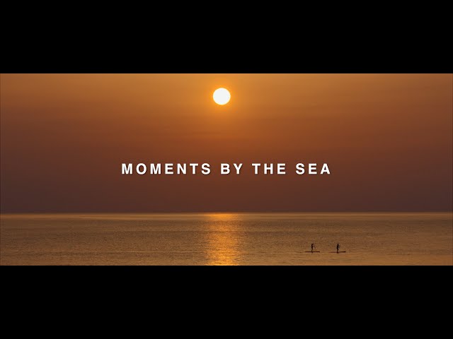 Moments by the Sea | Biarritz shot on the BMPCC 6K PRO