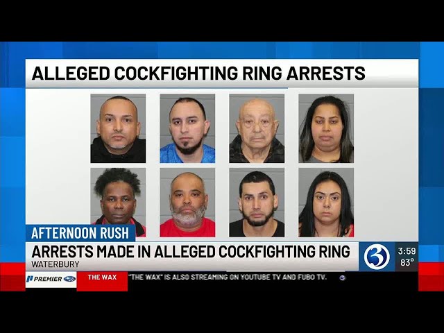 Arrest made in alleged cock-fighting ring