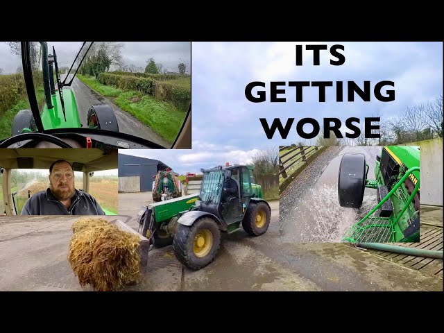 CLEANING OUT & DUNG MOVE - RAIN AND MORE FARM ISSUES