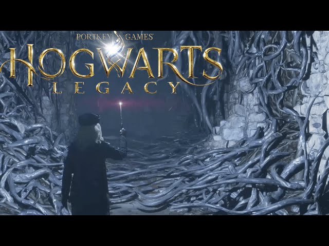 Hogwarts Legacy - 100% Walkthrough Part 3 - All Side Quests, All Collectibles, All Secrets - PS5 4K