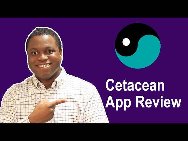 Cetacean Writing App Review