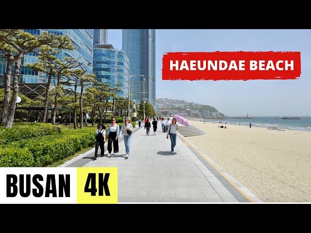 BUSAN, SOUTH KOREA 🇰🇷 [4K] Haeundae Beach