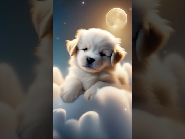 🐶💤 Sweet Dreams Guaranteed with These Adorable Puppy Lullabies! 🎶✨