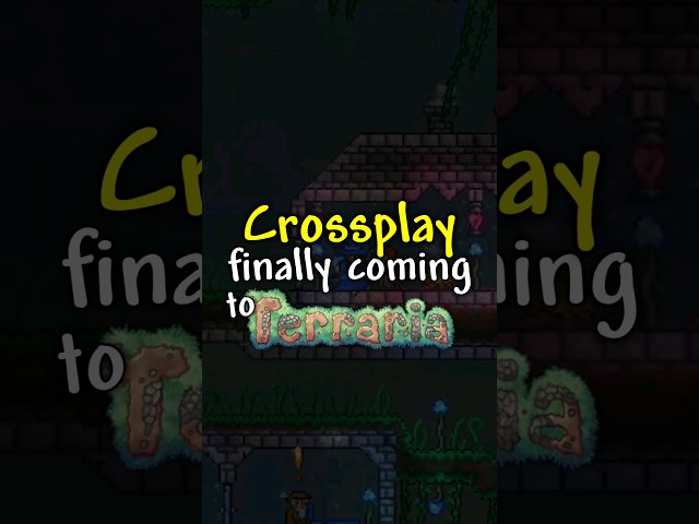 Is Terraria finally getting Crossplay?