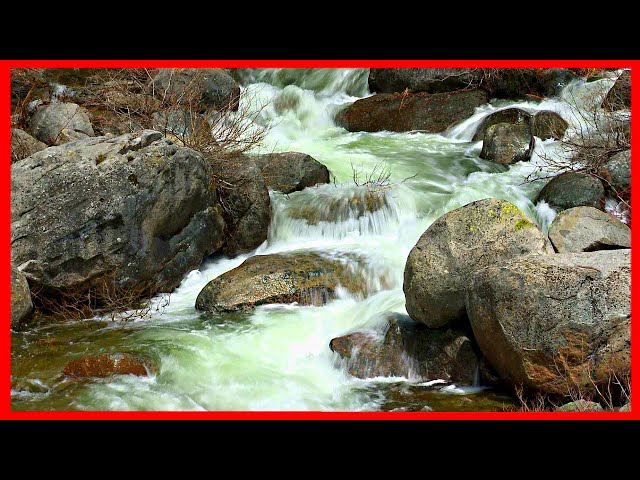 Stream White Noise 10 Hours Long, Water Sounds for Sleeping or Relaxing, Insomnia