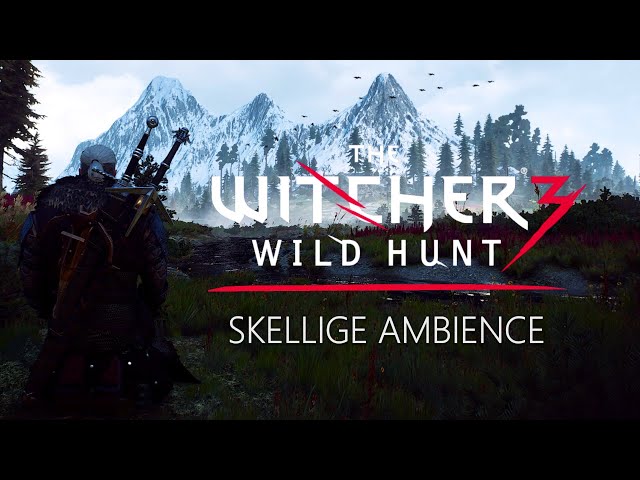 Witcher 3 - Skellige  - Ambience & Relaxing Music - Meditate like a Witcher