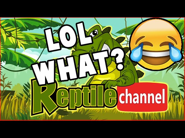 The Reptile Channel -  Response to their garbage video