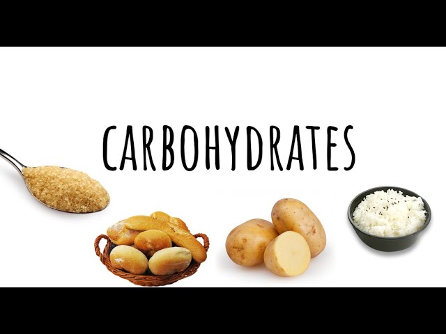 Carbohydrates: Introduction