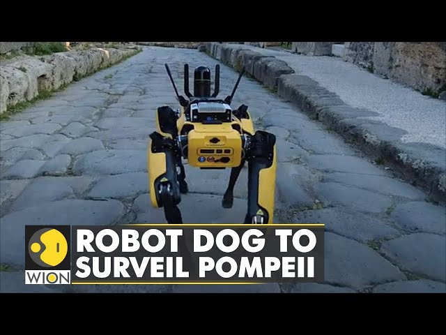 Italy: Robot Dog to be archaeologists' companion to surveil Pompeii | World News | English News