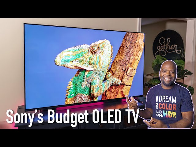 Sony's 2nd Best OLED TV - Sony A80L OLED Unboxing & Comparison
