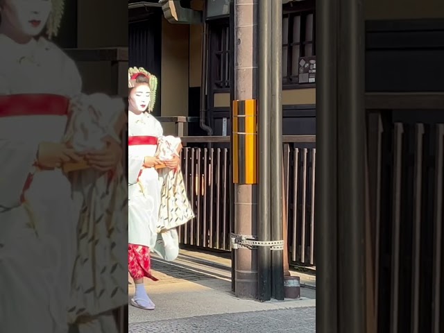祇園甲部の舞妓さん #京都 #舞妓