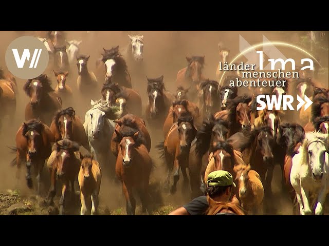Spaniens wilde Pferde - Länder Menschen Abenteuer (SWR)