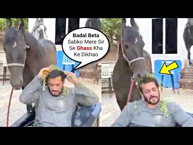 Salman Khan Playing Feeding Game With His Horse At Panvel Farm During Lock Down