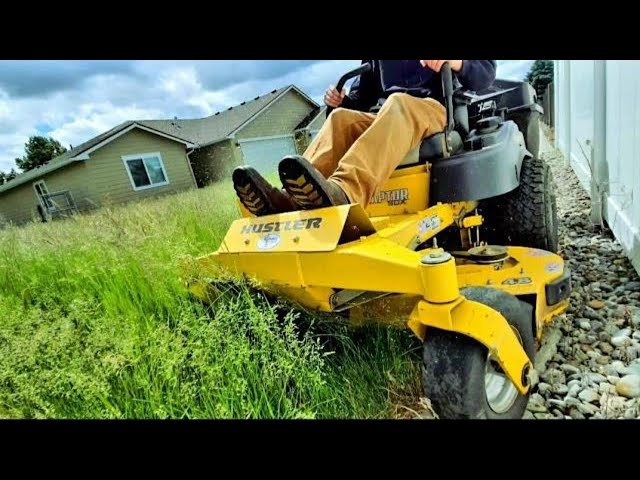 Satisfying Tall Grass Mowing | Overgrown Lawn Makeover + Stripes