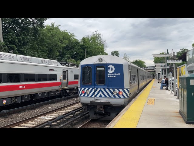 MTA Metro-North Railroad Harlem Line: PM Rush Hour @ Woodlawn 05/17/24 ft horns and great catches!!!