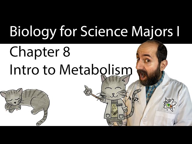 Chapter 8 – Introduction to Metabolism