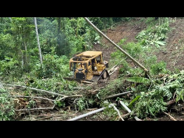 CAT D6R XL Bulldozer Repairs Decades of Abandoned Land