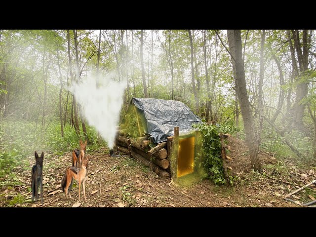 The Jackals' Attack on the Shelter | Building an Underground Shelter in Harsh Conditions