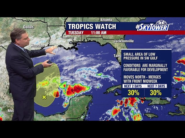 Gulf system to bring rain to Florida