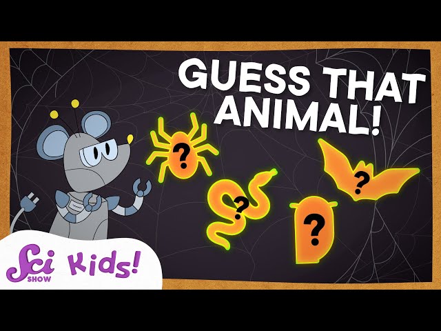 Not-So-Creepy Creatures! | Halloween Guessing Game | SciShow Kids Compilation