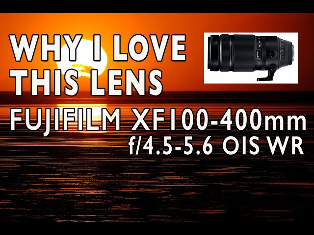 Why I Love This Lens - FUJIFILM XF100-400mm f/4.5-5.6 OIS WR