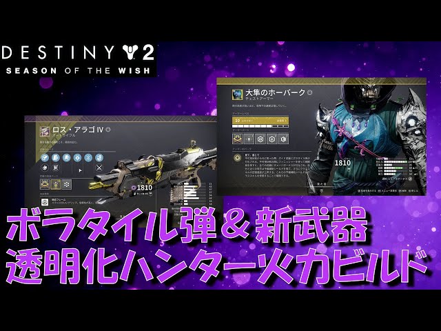 【望みのシーズン】ボイドハンター 透明化新武器ビルド【Destiny2】