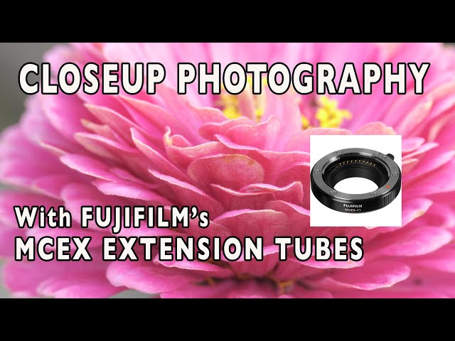 Using The Fujifilm MCEX Extension Tubes for Dramatic Closeup Images