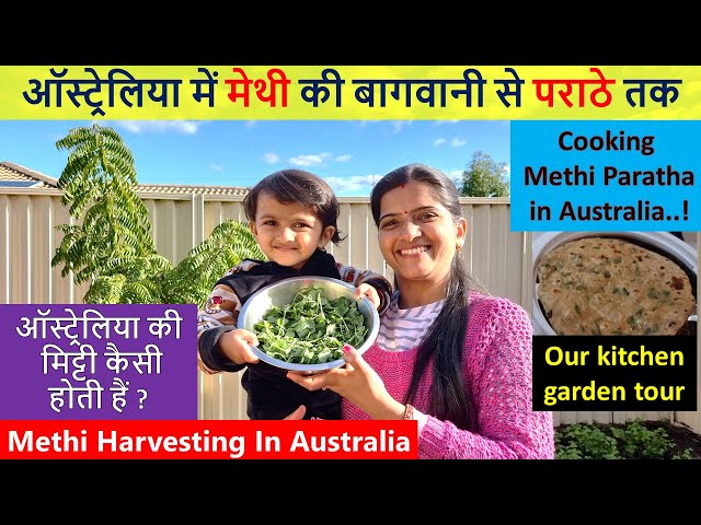 ऑस्ट्रेलिया में मेथी की बागवानी से पराठे तक | Methi Harvesting Australia | Sunday Special Breakfast