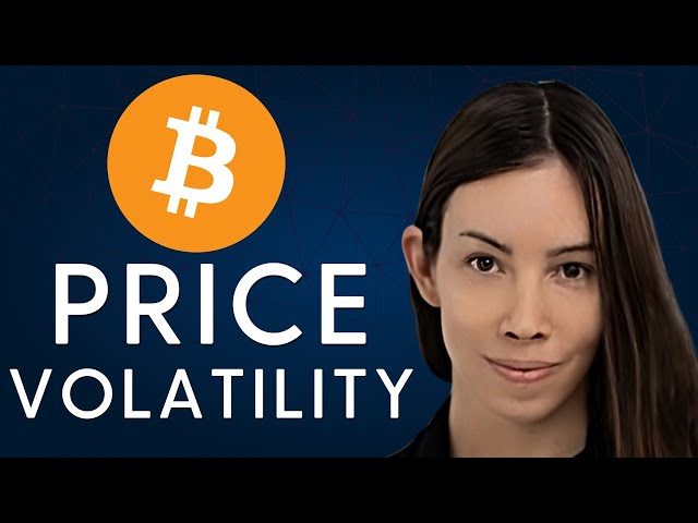 Lyn Alden: Bitcoin's Price and Volatility Explained
