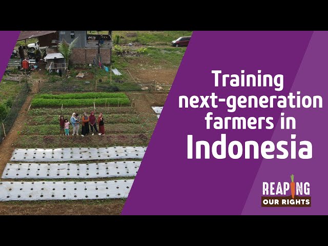 Training next-generation farmers in Indonesia