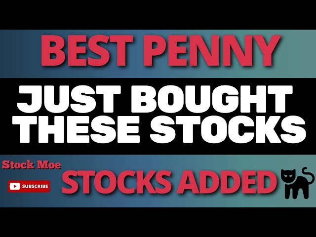 What Is Going on with DOGECOIN PRICE and I JUST BOUGHT THESE STOCKS - BEST PENNY STOCKS TO BUY NOW