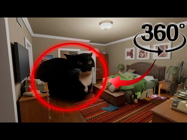 Maxwell The Cat 360° - FIND MAXWELL| VR Experience/360°