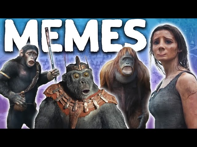Kingdom of the Planet of the Apes - MEMES