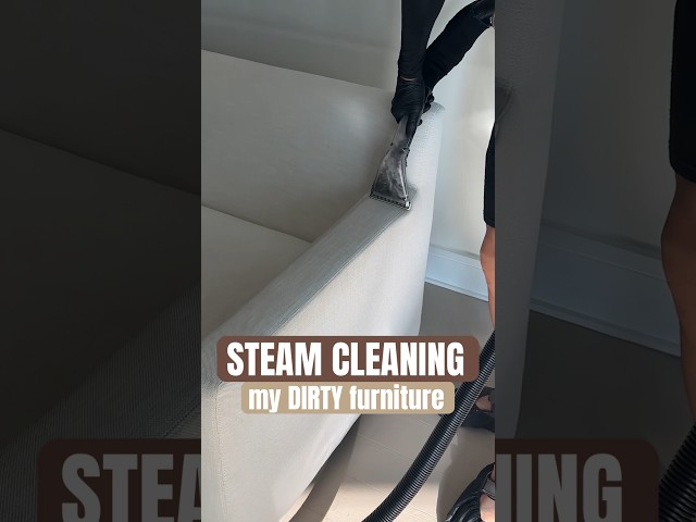 STEAM CLEANING my DIRTY furniture!