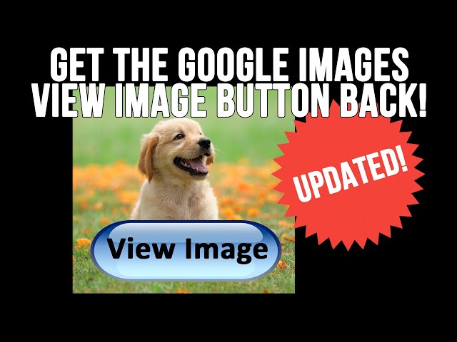 Add the View Image Button Back to Google Images Searches - Updated!