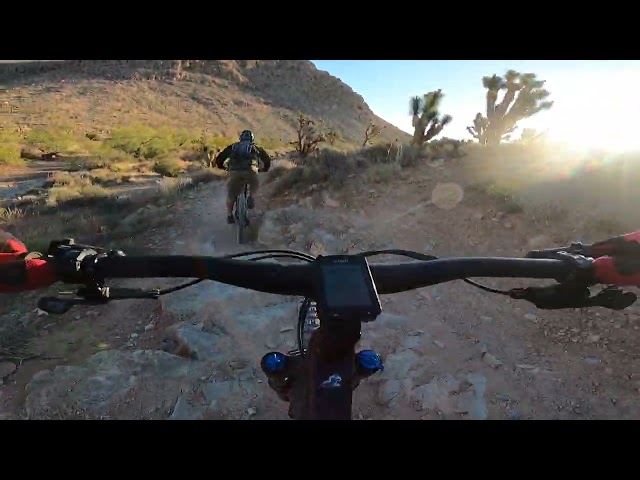 Cactus Slalom Trail at Cotton Wood Late Night TRAIL system Las Vegas - Foes and Trek Ride Again